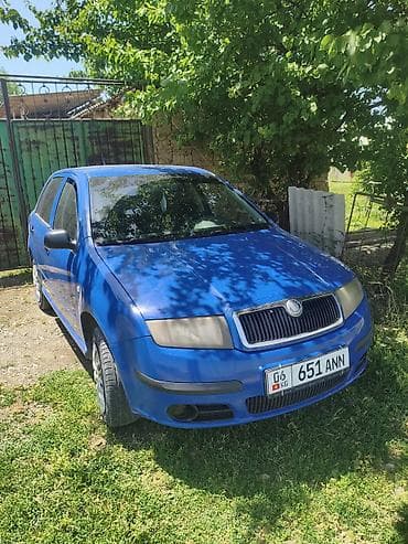 кызыл суу авто: Skoda Fabia: 2006 г., 1.2 л, Кол менен иштөөчү, Бензин, Седан — 8