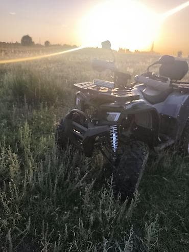 off roud: Квадроцикл Бензин, 250 куб. см, Взрослый — 3