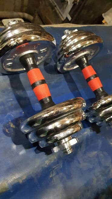 набор гантель в чемодане flexter 50кг: Гантели хром разборные 10+10=20кг . Новые — 2