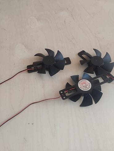 птицы бишкека: Вентилятор для инкубатора 120сом 18вольт — 3