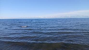 приятный отдых: Озуно ишенген кладчиктер керек жумасына расчёт жумуш тамчыда — 1