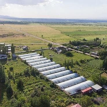 рыбные хозяйства: 60 соток, Для бизнеса, Красная книга, Договор купли-продажи — 1