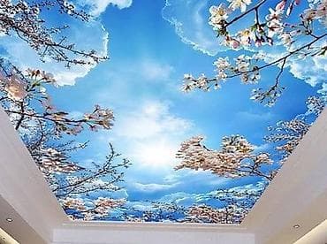 iphone se1: Натяжной потолок 3D потолки, Глянцевое, Матовое Бесплатная консультация, Бесплатный замер, Гарантия — 3