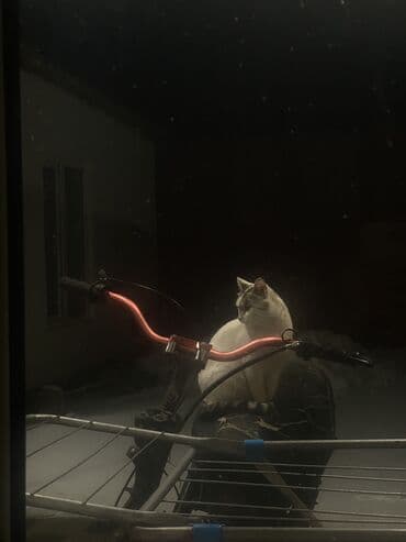 вложений: Ангел мотор новый на Вложение электрика это уже по желанию а так — 5