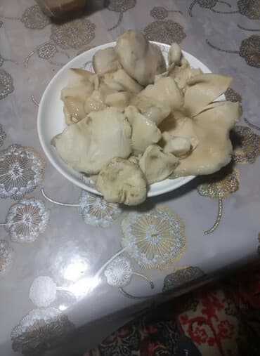 Грибы Грузди, В розницу, Платная доставка