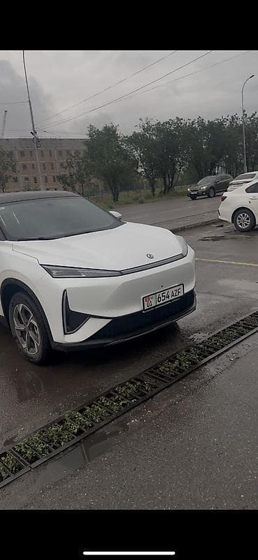 dongfeng: Dongfeng : 2025 г., 0.8 л, Электромобиль, Внедорожник — 7