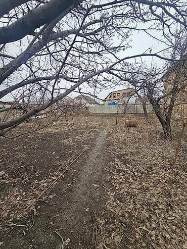 Продажа дач: Продаётся участок по первой линии Лебединовка напротив магазина Шекер — 3