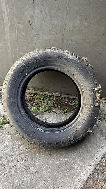 Транспорт: Шиналар 215 / 65 / R 15, All-season, Комплект, Жеңил унаалар — 1