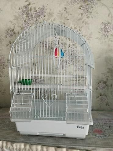 мойка собак: Клетка для декоративных птиц - Материал: металлические прутья с — 2