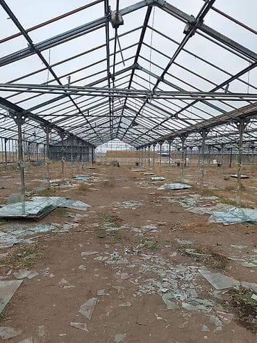 ТЕПЛИЦАНЫН ТЕМИРЛЕРИ .
Тепличный каркасы склад,котедж,навес имн.др.е at lalafo.kg ТЕПЛИЦАНЫН ТЕМИРЛЕРИ .
Тепличный каркасы склад,котедж,навес имн.др.е