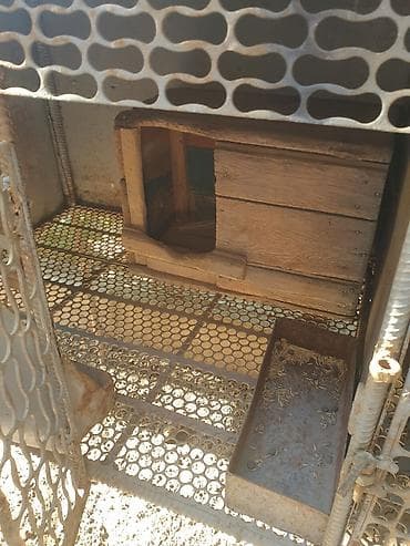 каракол кошка: Продаю кролятники полностью железные с кормушками и матачниками. Один — 4