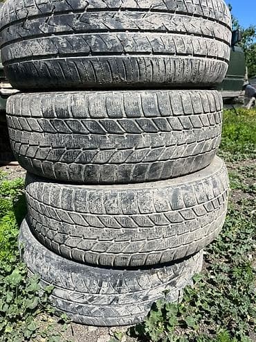 шины 2255017: Шины 205 / 55 / R 17, Зима, Комплект, Легковые, Польша, Belshyna — 1