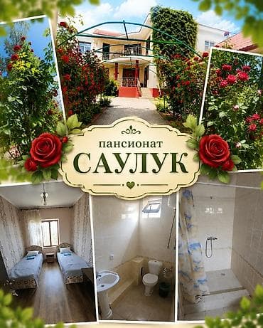 туры иссык куль: Кемпинг на Иссык-Куле, Чолпон-Ата, 10+ мест — 4