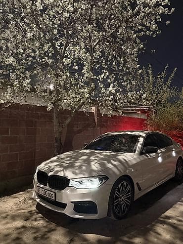 матор от бмв: BMW 530: 2019 г., 2 л, Автомат, Бензин, Седан — 2