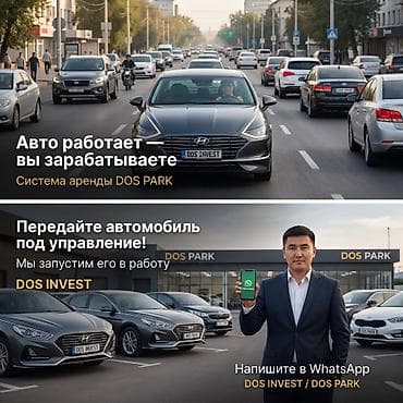Сфера услуг: Инвестиция в бизнес — 5