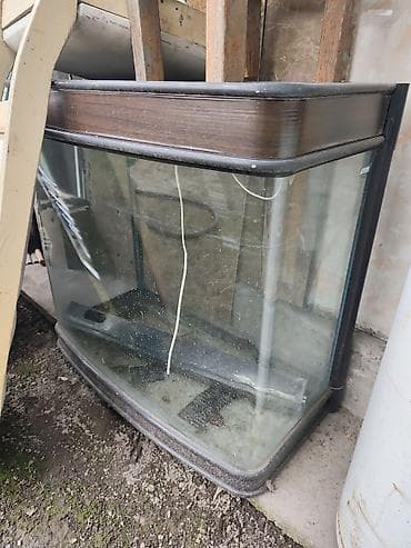 baby jogger: Детская прогулочная коляска - Тип: трость/прогулочная коляска - Цвет — 6