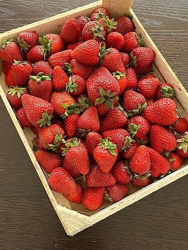 мурано клубника купить: Клубника Альбион — 1