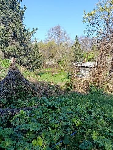 ленинское: 14 соток, Для бизнеса, Красная книга, Тех паспорт, Договор купли-продажи — 2