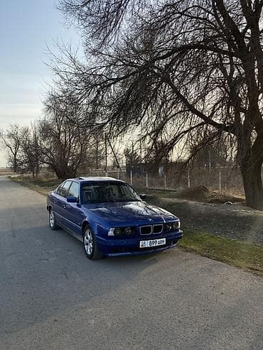 BMW 5 series: 1992 г., 2.5 л, Механика, Бензин, Седан