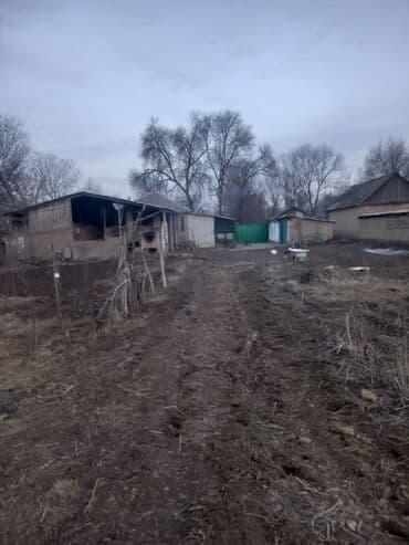 скупка домов: Собственник — 1