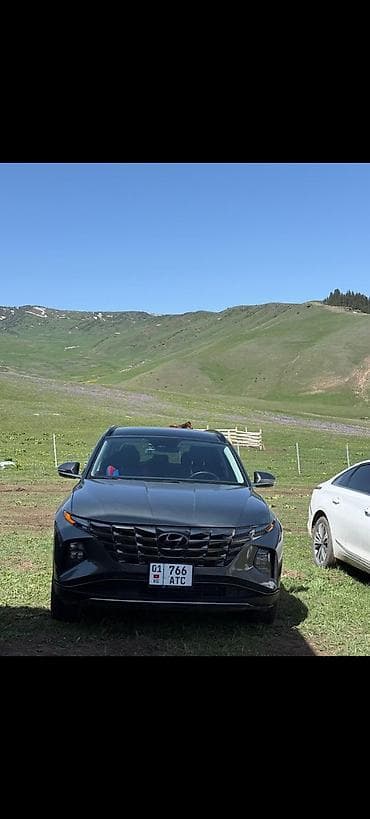 Hyundai Tucson: 2023 г., 2.5 л, Автомат, Бензин, Кроссовер