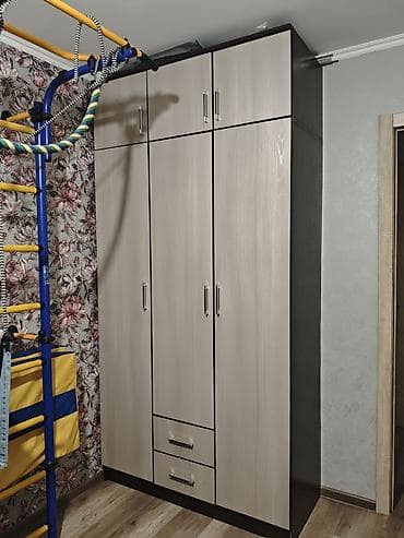 Чечинүүчү жайга шкафтар: Шкаф из ЛДСП — 1