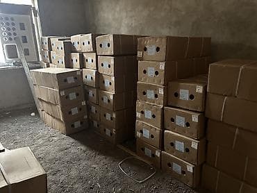 куплю пионы: Здравствуйте, уважаемые цветочники! Если вам нужны цветы оптом — в — 6