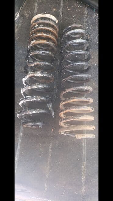 Продаю пару пружина Пассат Б 3 универсал. Каракол
