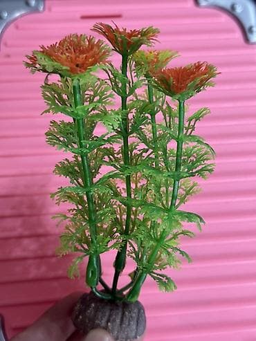 аквариум без рыб: Набор декоративных растений для аквариума (искусственные) - — 8