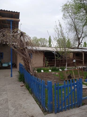 сдаю дом без хозяева: Дом, 75 м², 4 комнаты, Собственник, Косметический ремонт — 7