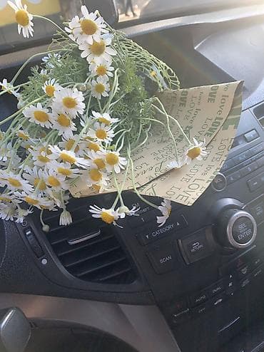 bmw e90: Honda : 2009 г., 2.4 л, Автомат, Газ, Седан — 5