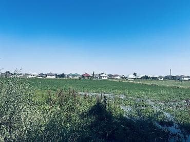 prime suites: 60 соток, Для сельского хозяйства — 1