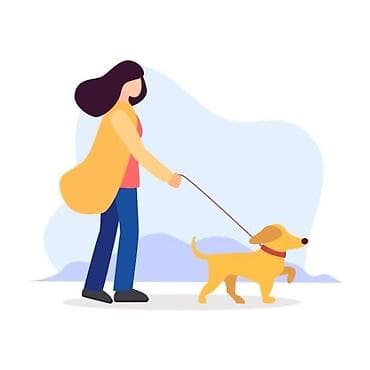 🐾 Выгул собак 🐶 Не успеваете выгуливать своего питомца?Не беда✅ at lalafo.kg 🐾 Выгул собак 🐶 Не успеваете выгуливать своего питомца?Не беда✅
