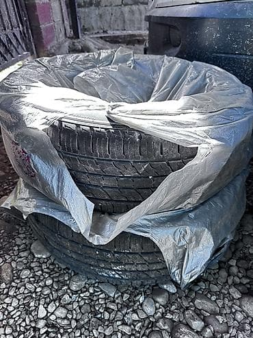 16 р: Комплект автомобильных шин (2 шт.)
R18 в хорошем состоянии 
225/60/18 — 1