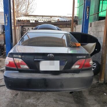 на виндом: Без выезда — 2