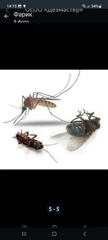 Бала бакчалар, бала багуучулар: Дезинфекциялоо, дезинсекциялоо, | Канталалар, Бүргөлөр, Таракандар, | Транспорт, Офистер, Батирлер — 3