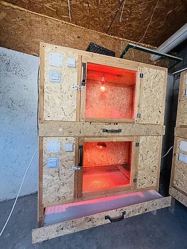 Брудеры/клетки для выращивания птенцов и молодняка птицы (цыплята — 2