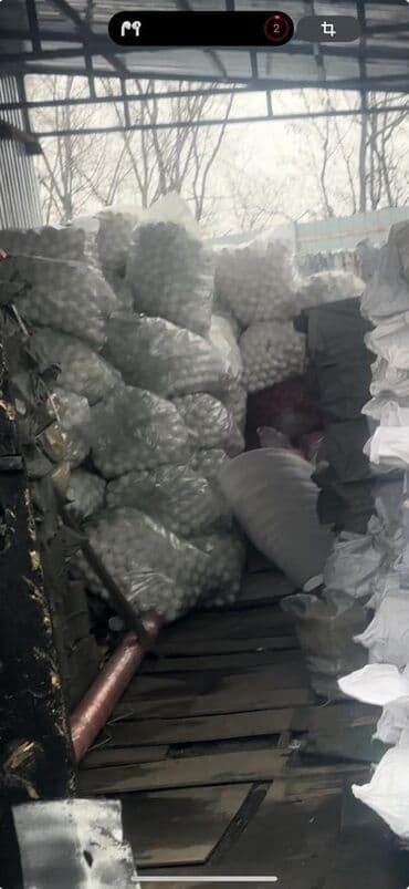 масло сыр база бишкек график работы: Бус, Переезд, перевозка мебели, По региону, с грузчиком — 6