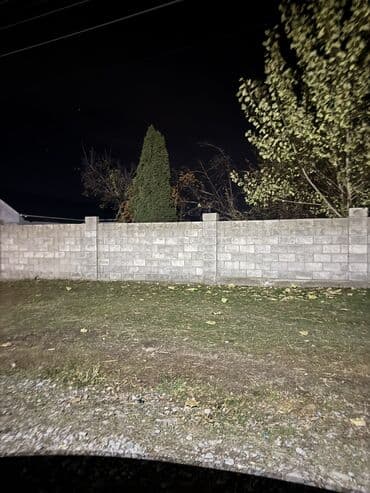 Барбекю: Көчөттөр дарактардын: Туялар, Өзү алып кетүү — 1