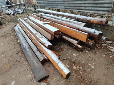 тополь продаю: Хвоя — 6