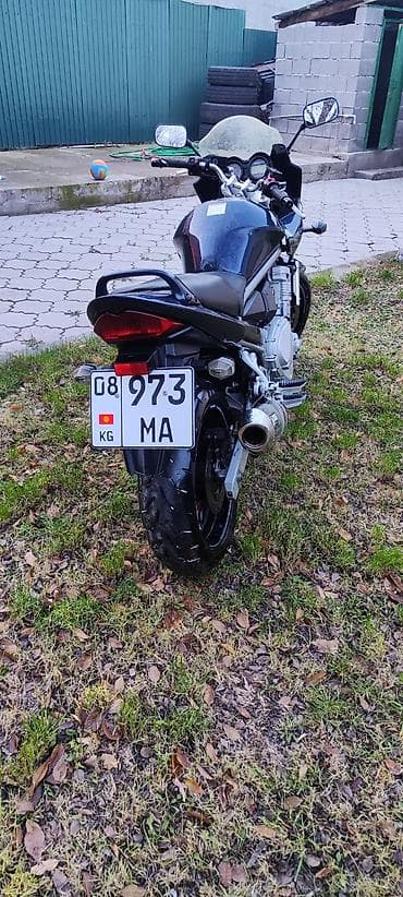 мустанг лошадь цена: Классический мотоцикл Suzuki, 650 куб. см, Бензин, Взрослый, Б/у — 3