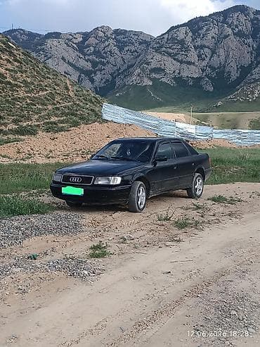 s class w220: Audi 100: 1993 г., 2.6 л, Механика, Бензин, Седан — 1