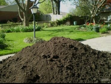 купить саженцы роз в бишкеке: В тоннах, Бесплатная доставка, Платная доставка, Портер, Зил, Камаз — 1