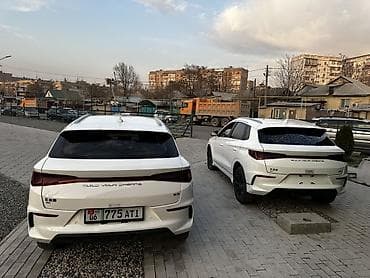 tesla 3: BYD — салон автомобиля (интерьер, комплектация) - Цветовая схема — 6