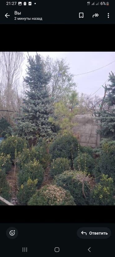 сушилка для белья электрическая бишкек: Башка хозтоварлар — 7