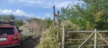 колоновидные яблони: 6 соток, Для бизнеса, Красная книга — 5