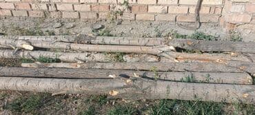 уголь в мешках кара кече: Отун Өзү алып кетүү — 2