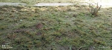 работы охраны: Уборка территории — 8