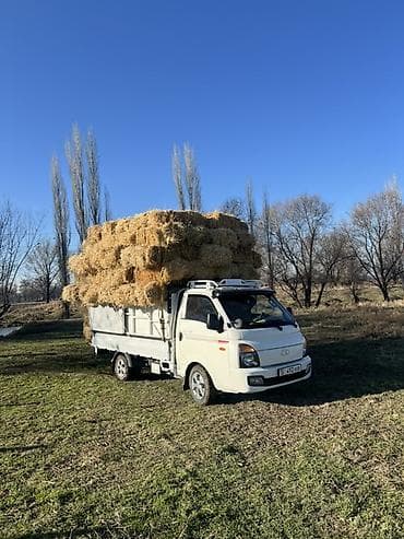 Продам тюки сена (в тюках малых размеров), аккуратно спрессованные и
