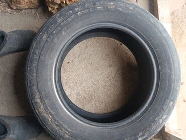 2156016 лето: Лето. мощный — 1